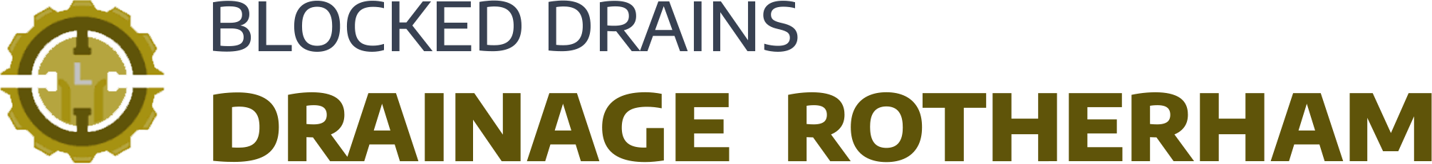 website logo